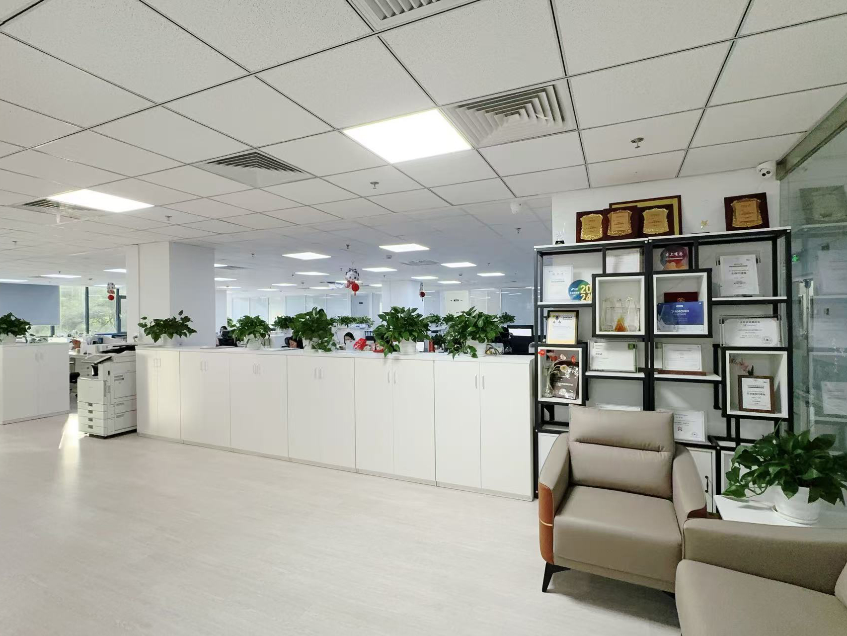 Κίνα Hong Kong Starsurge Group Co., Limited Εταιρικό Προφίλ