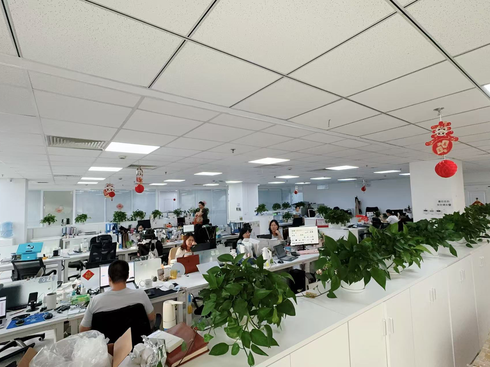 Κίνα Hong Kong Starsurge Group Co., Limited Εταιρικό Προφίλ