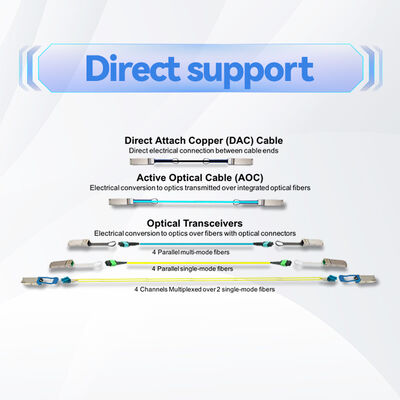 Mellanox MCP1600-E001E30 100Gb/s QSFP28 Passive Copper DAC